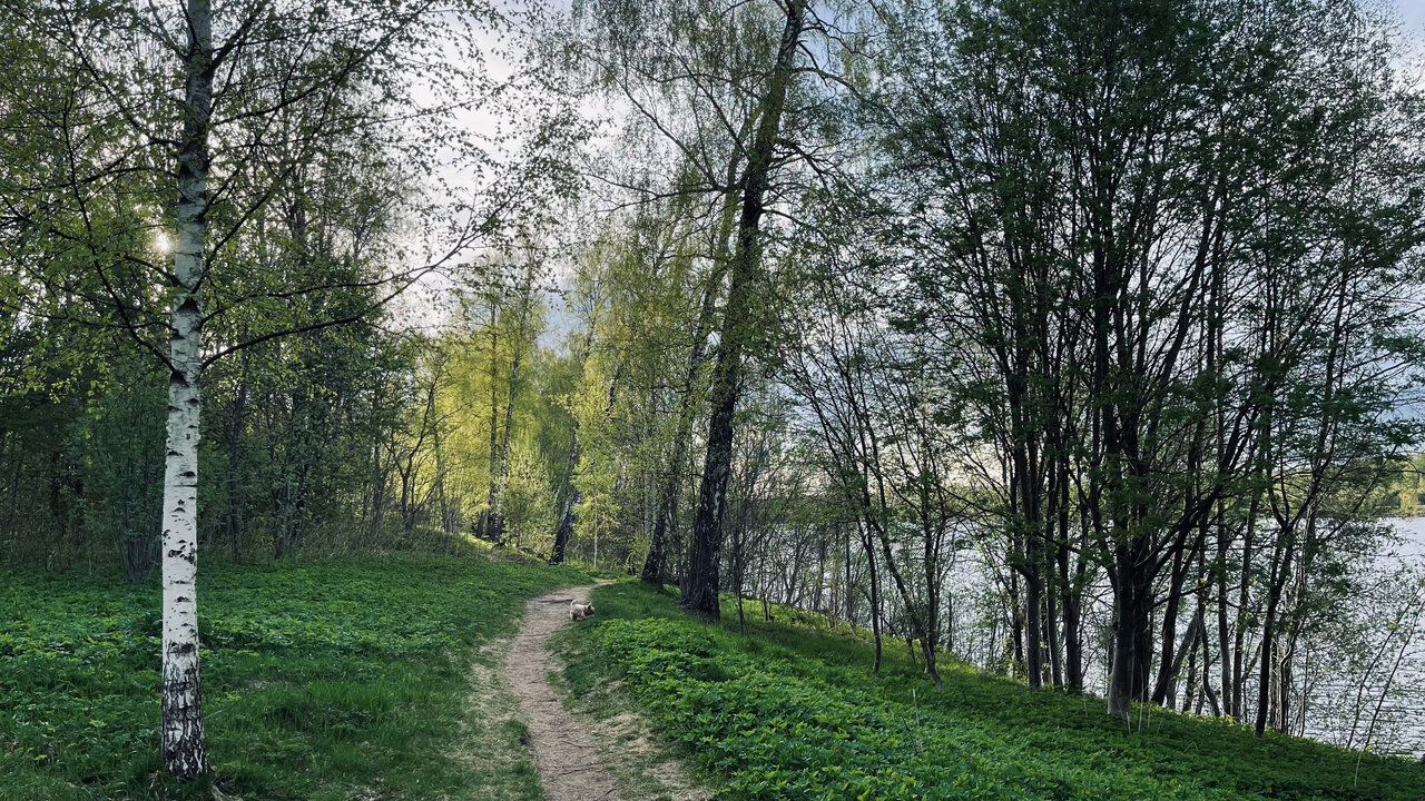 Гостиница Тверь Парк Отель Тверь-84