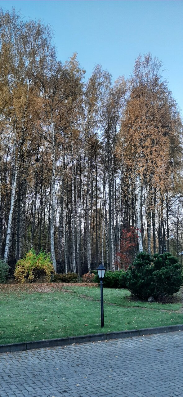 Гостиница Тверь Парк Отель Тверь-227